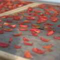 Bulk Dried Tomatoes In India - Dehydrated Flakes & Powder