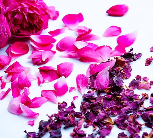 Indore, Food, Bulk Dried Rose Petals In India - Wholesale Dried Flowers