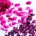 Bulk Dried Rose Petals In India - Wholesale Dried Flowers