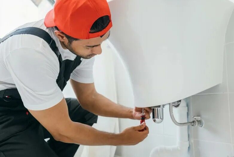 New York, Business, Wake Forest Plumbing & Drain