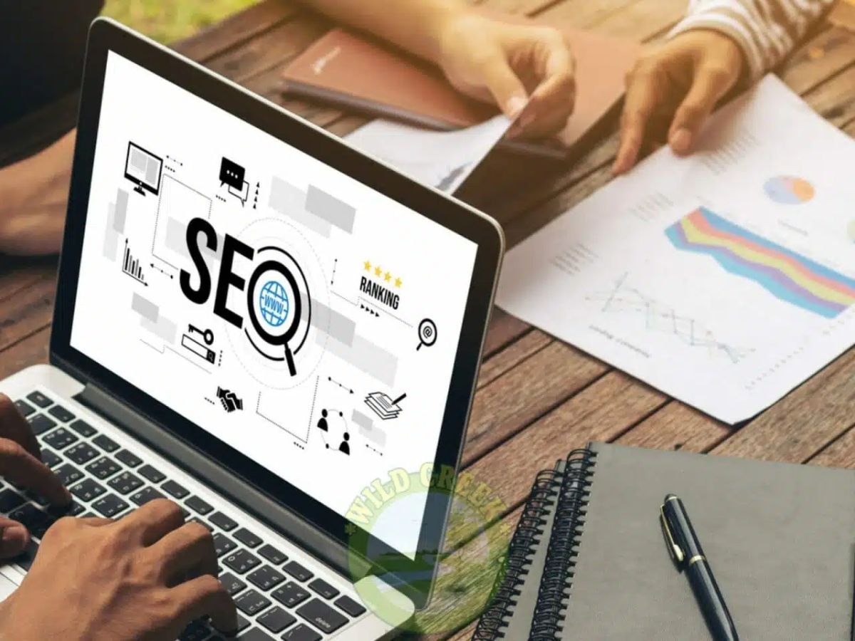 Noida, Business, SEO Company For Smarter Rankings, More Traffic & Business Growth