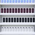 Latest, IPhone Duo, IPhone 18 Pro Max, IPhone 18 Pro, Apple Watch Ultra 4, IPhone 16 Pro,