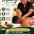 Professional Massage Therapist