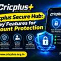 Cricplus Secure Hub: Key Features For Account Protection