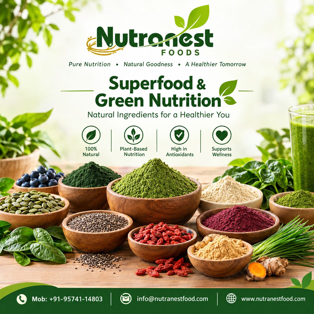 Mumbai, Business, Superfood And Green Nutrition Manufacturers | Nutranest Foods