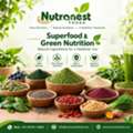 Superfood And Green Nutrition Manufacturers | Nutranest Foods