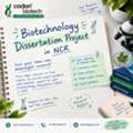 Build Your Research Journey With A Practical Biotechnology Dissertation Project