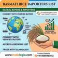 INR 25,  Basmati Rice Importers List | Global Buyers & Importers