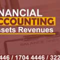 Assets Revenues For Financial Accountancy