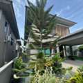 THB 55000,  56 Sq. Feet,  ให้เช่าบ้านเดี่ยว 2 ชั้น 56 ตร.ว. Como Botanica Bangna อยู่