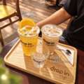The Refreshing Sweet-and-Sour Taste And Floral Aroma Of Jasmine Orange