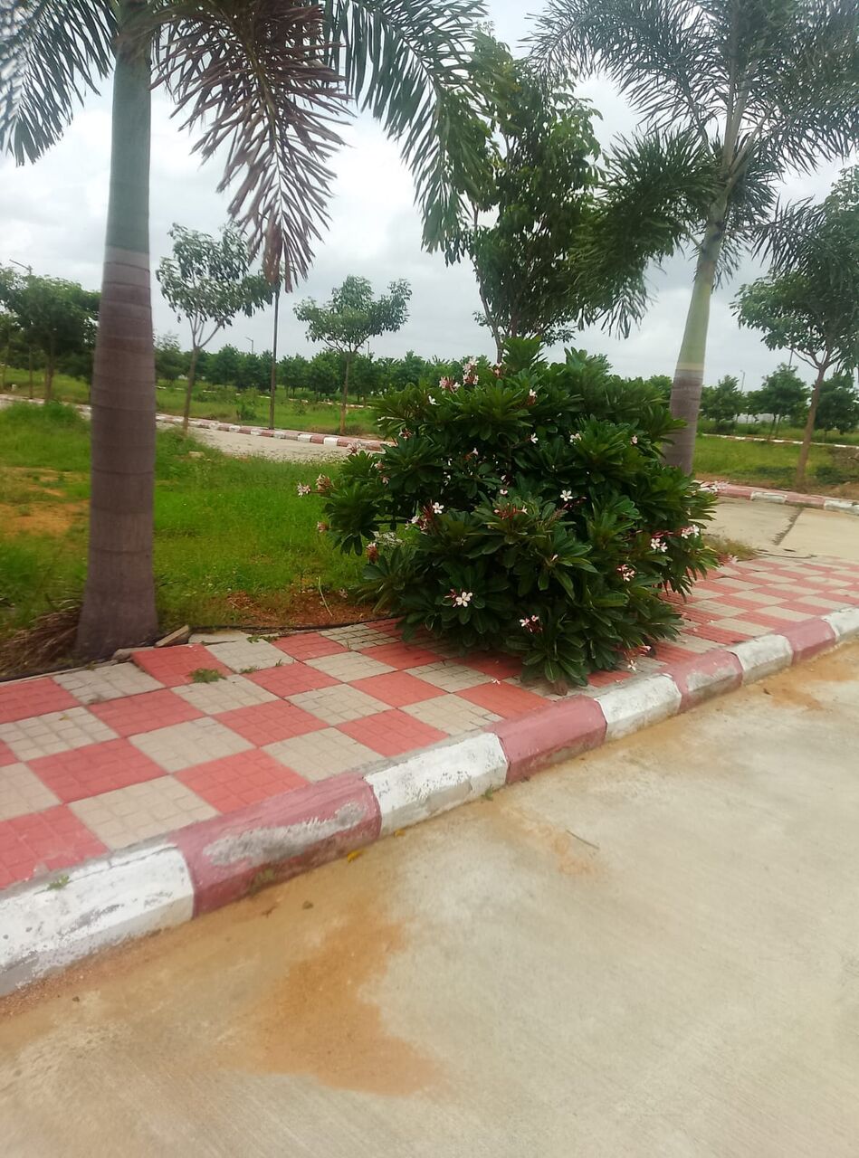 Hyderabad, Residential Plots, INR 22000,  180 Sq. Yard,  HMDA & RERA  APPROVED Open Plots For Sale @ Maheshwaram