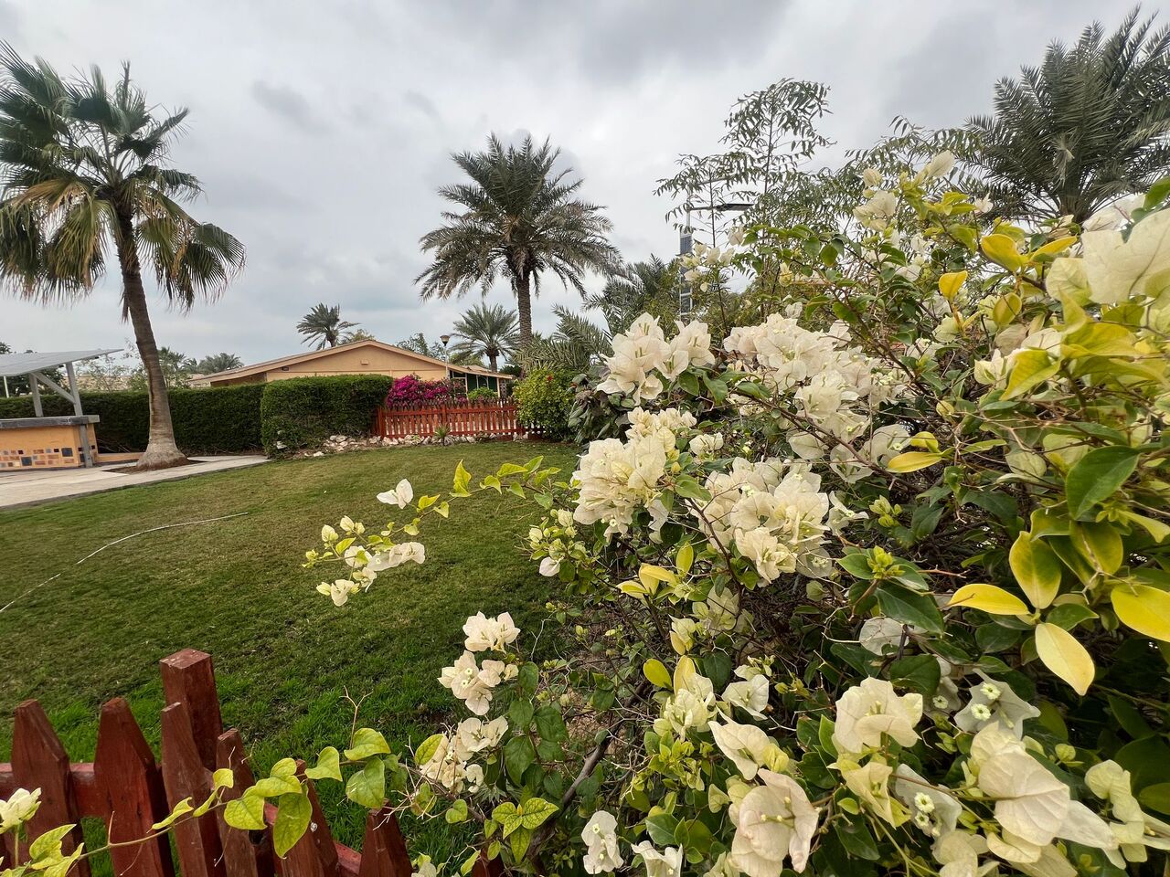 Hamala, Villas, BHD 600,  RENOVATED 3BR VILLA FOR RENT IN HAMALA
