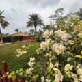 BHD 600, RENOVATED 3BR VILLA FOR RENT IN HAMALA