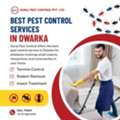 Pest Control Services In Dwarka &ndash; Affordable & Reliable