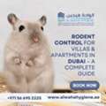 Dealing With Rodents In Dubai? Call Al Waha Hygiene At +971 56 695 2225