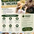Tipping On Safari In Tanzania – Plan Your Safari Budget Wisely