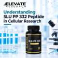 GBP 34,  Understanding SLU PP 332 Peptide In Cellular Research