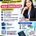 Visa Consultant