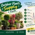 SAR 200,  🌿 OUTDOOR PLANTS SUPPLY IN RIYADH 🌿  Fresh Plants • Greener Spaces