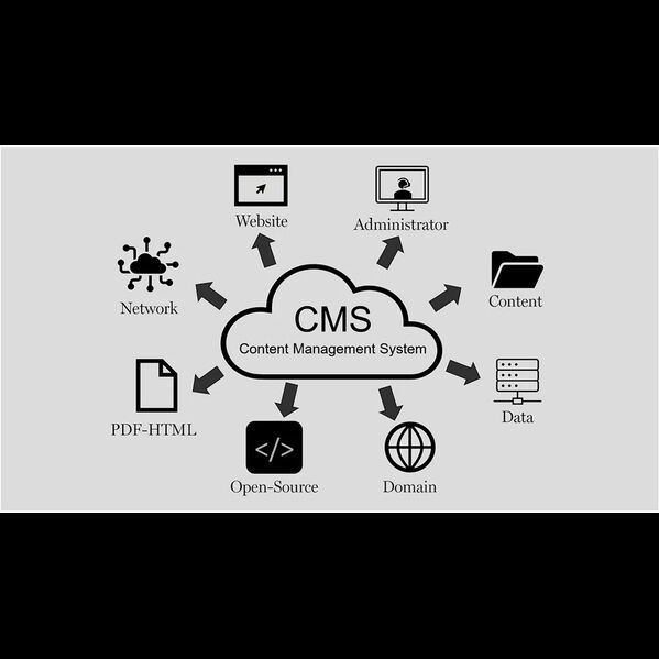 New York, Software, USD 499,  Shopify Website Designer & Development Services