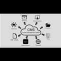 USD 499,  Shopify Website Designer & Development Services