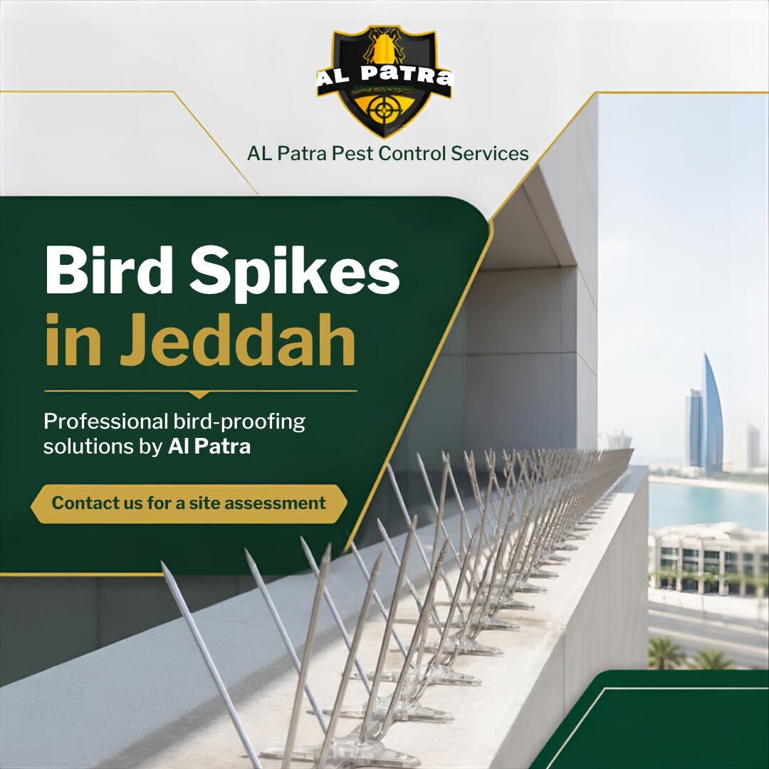 Jeddah, Pest Control, 🐦 PIGEON & BIRD SPIKES Protect Your Walls • Roofs • Balconies • AC Units