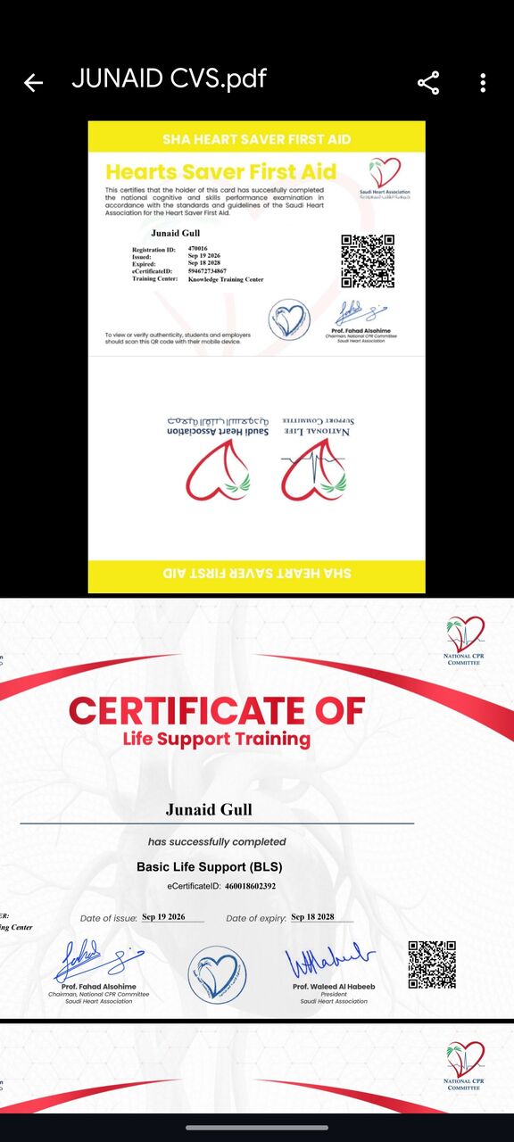 Jubail, Job Seekers, Safety Officer