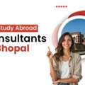 Best Foreign Education Consultants In Bhopal