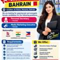 Lady Personal Secretary And Media Marketing