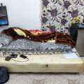 SAR 650/month,  Bed Space Available For Executive Class PAKISTANI Bachelor Only.