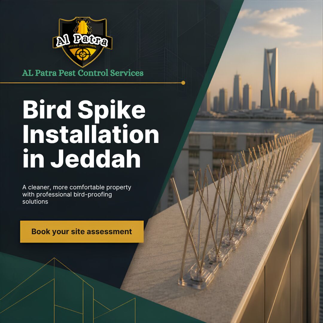 Jeddah, Pest Control, 🐦 Bird Spikes Jeddah | Pigeon Control & Bird Protection