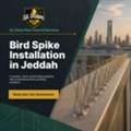 🐦 Bird Spikes Jeddah | Pigeon Control & Bird Protection