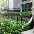 THB 36000,  100 Sq. Feet,  ออฟฟิศให้เช่าสุรวงศ์ สีลม บางรัก อา