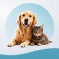 Book Vet Clinic Services In Water Valley, MS For Your Pet