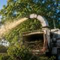 Brush Cutting Martha's Vineyard