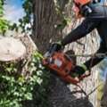 Tree Removal Hazardous