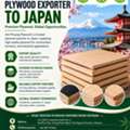 Plywood Exporter To Japan