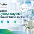 (R)-Glycidyl Butyrate &ndash; Chiral Chemical Intermediate