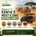 Discover Tanzania&rsquo;s Wildlife Wonders