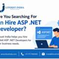 Are You Searching For An Hire ASP .NET Developer For Your Business?