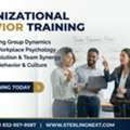 Organizational Behavior Certification Training - Live Online And Classroom