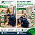 The Pest Risks Hidden Behind Modern Kitchen And Bathroom Designs