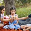 Summer Camps Bay Area For Fun, Learning, And Toddler Growth