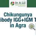 INR 1500,  Chikungunya Test In Agra | Affordable & Accurate | Dr. B. Lal Lab
