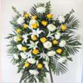 Napa Local Flower Shop &ndash; Sal The Flower Guy