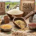 Grains Exporter In India &ndash; Glee Impex
