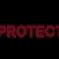 Director Risk Management &ndash; Identify Structural Exposure