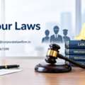 How Can Labour Laws Protect Employee And Employer Rights?