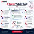 USD 30,  AI Search Visibility Audit: 7-Step Checklist For ChatGPT, Perplexity & Google AI Overviews